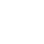 v0